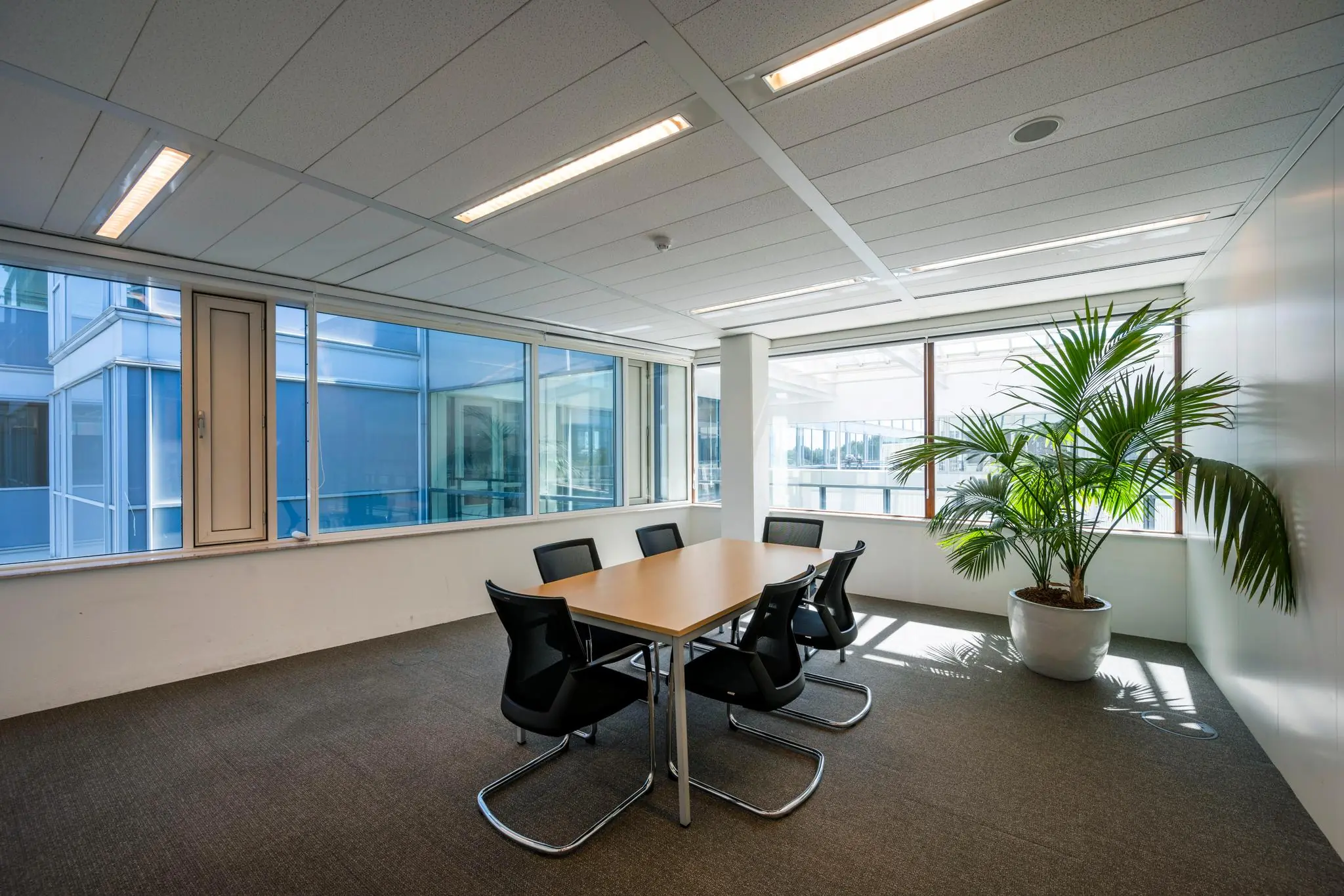 Vergaderruimte aan de Thomas R. Malthusstraat met een houten tafel, zes stoelen, grote ramen en een grote groene plant in de hoek.